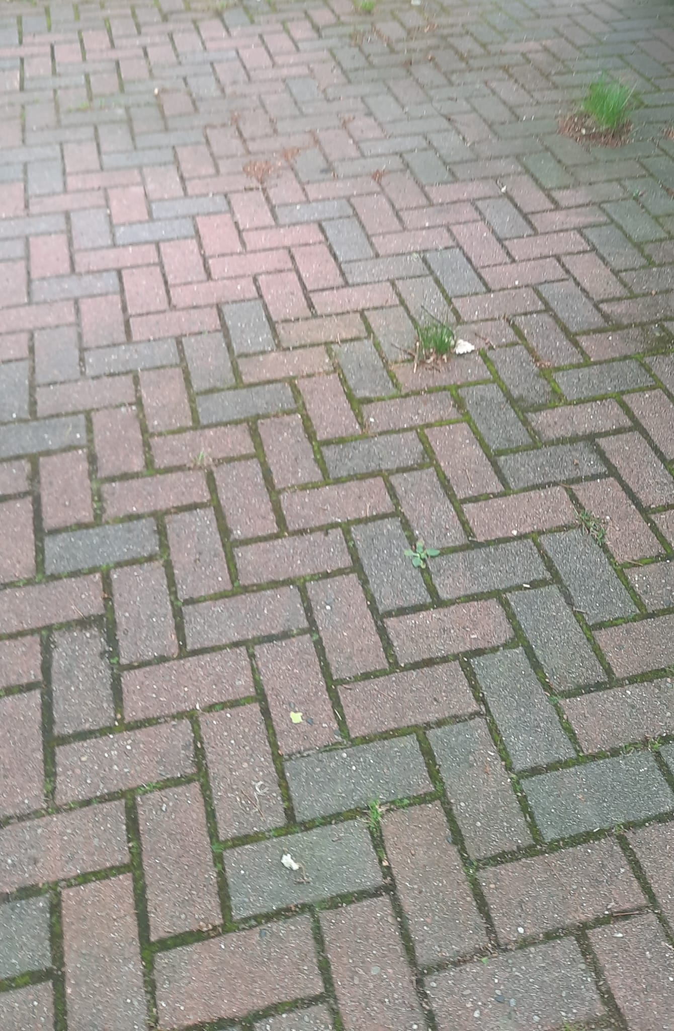 Einfahrt vor der Steinreinigung